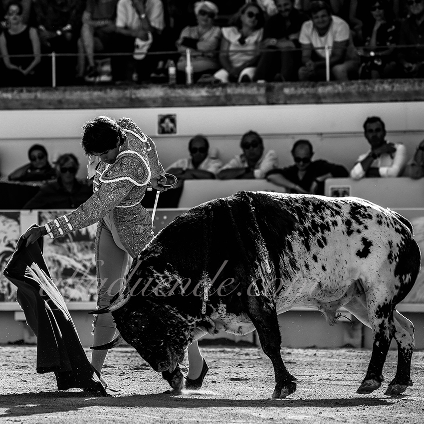 Alfaduendep58a6941beziers 20190815 08 copie