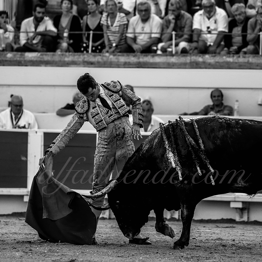 Alfaduende beziers 20190817 10 copie