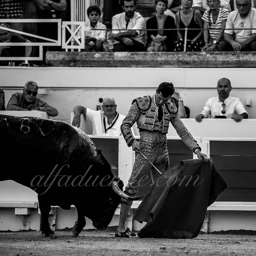 Alfaduende beziers 20190817 11 copie