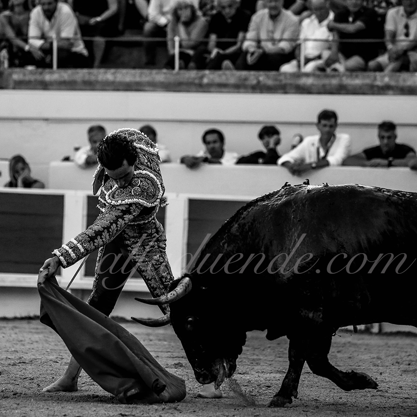 Alfaduende beziers 20190817 12 copie