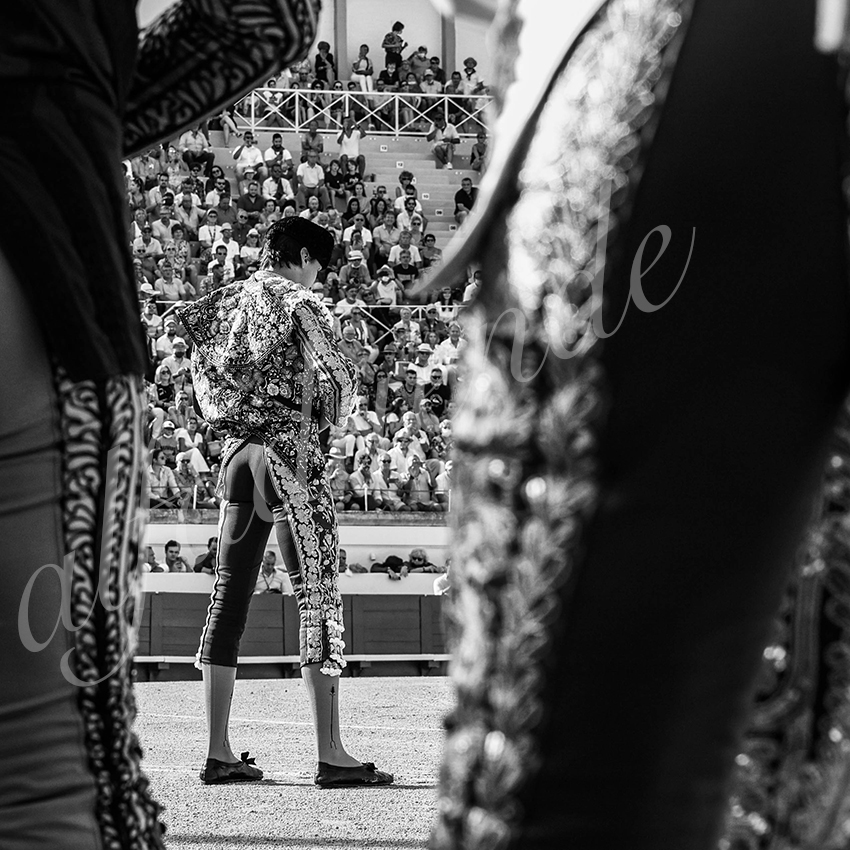 20210812 beziers alfaduende 003 fd