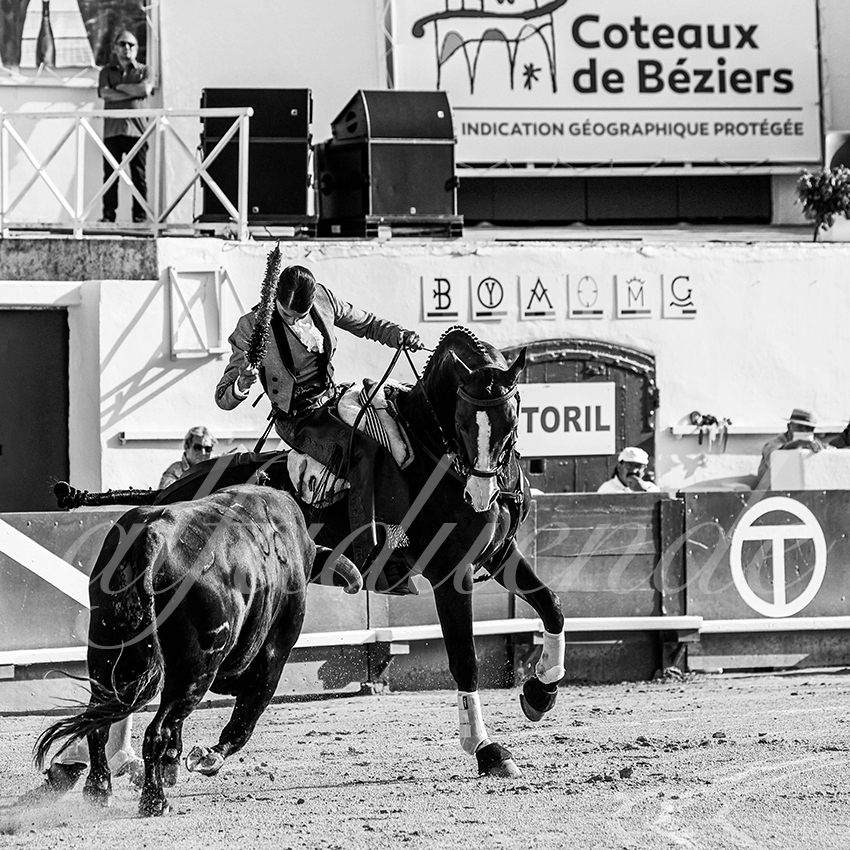 20210812 beziers alfaduende 004 fd