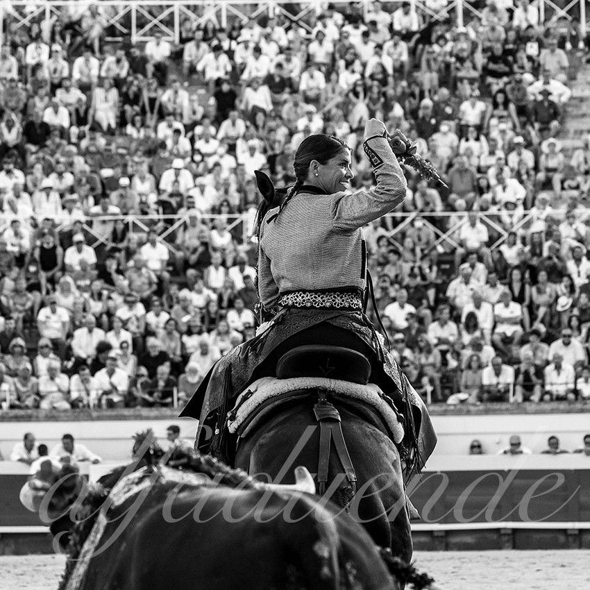 20210812 beziers alfaduende 005 fd