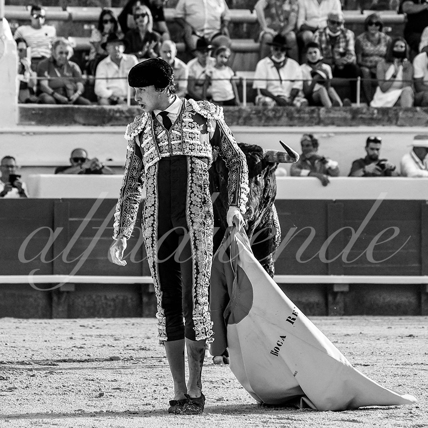 20210812 beziers alfaduende 007 fd