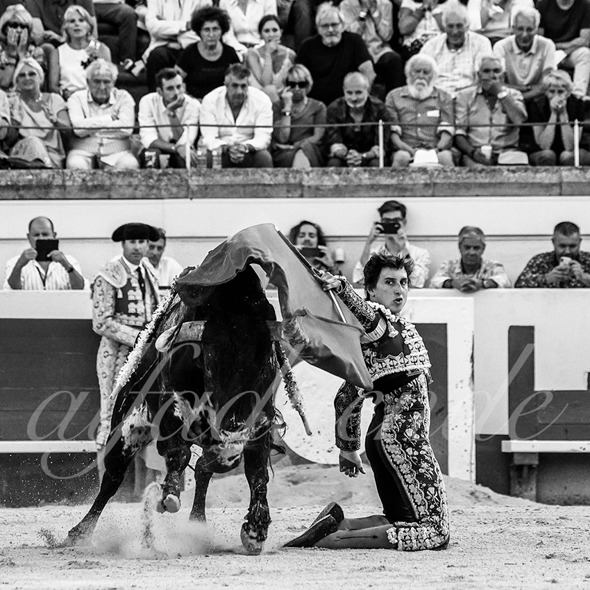 20210812 beziers alfaduende 008 fd