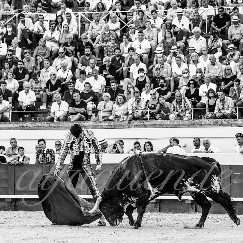 20210812 beziers alfaduende 009 fd