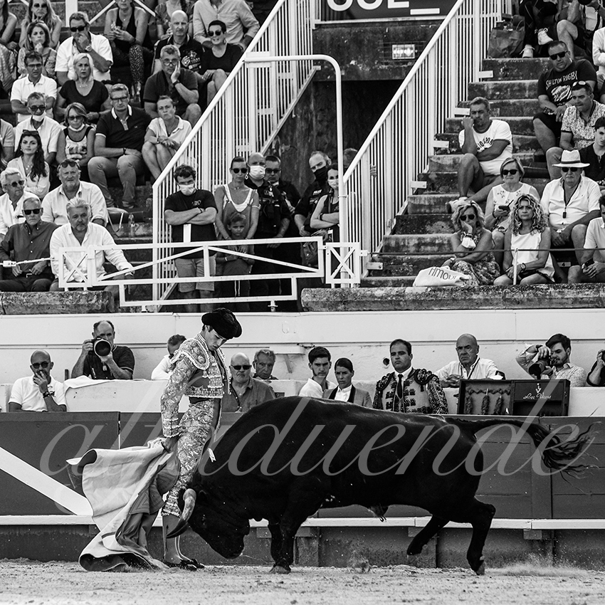 20210812 beziers alfaduende 010 fd