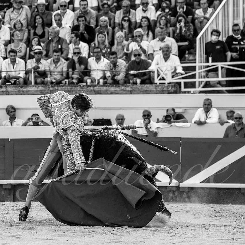 20210812 beziers alfaduende 013 fd