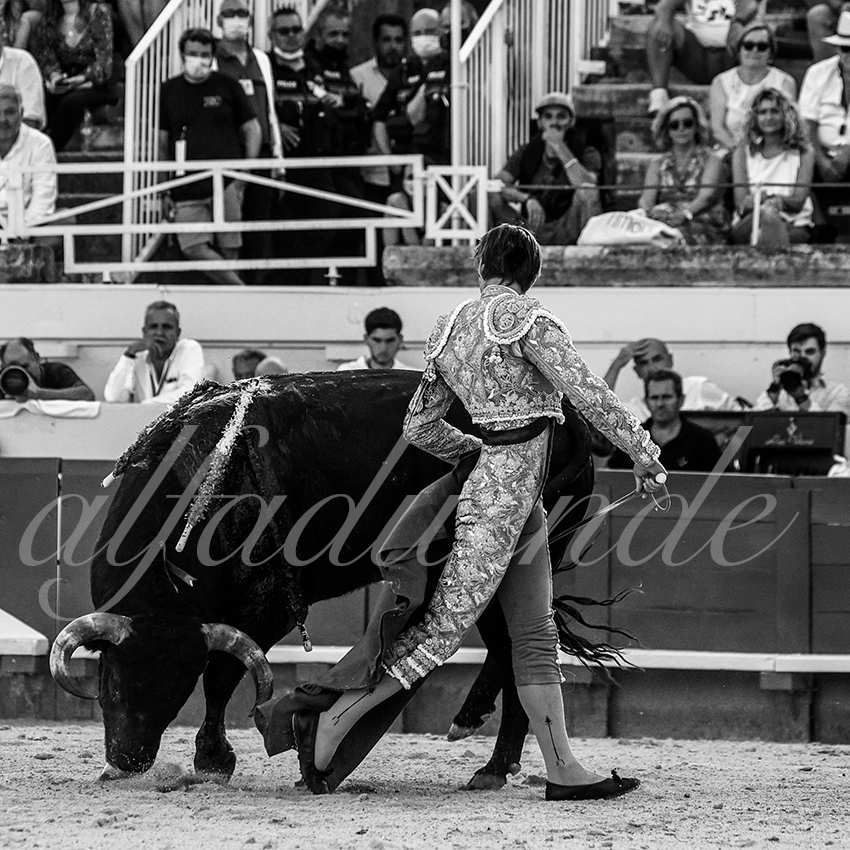 20210812 beziers alfaduende 017 fd