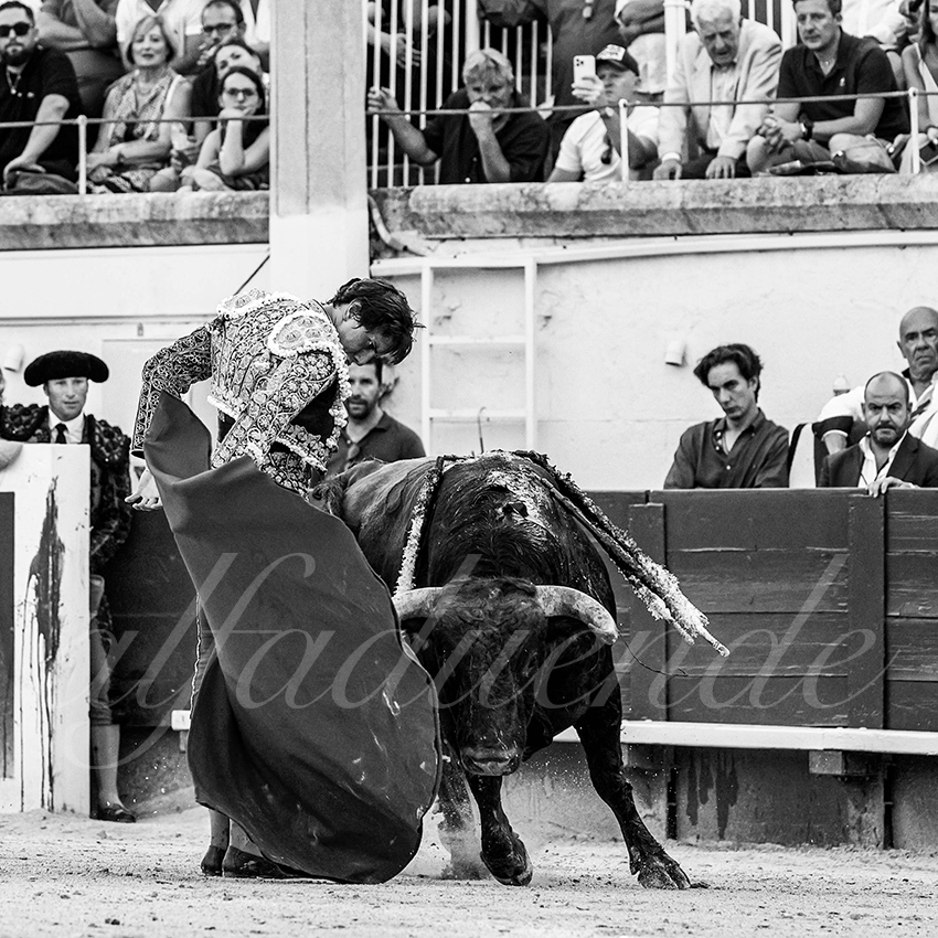 20220812 beziers 025