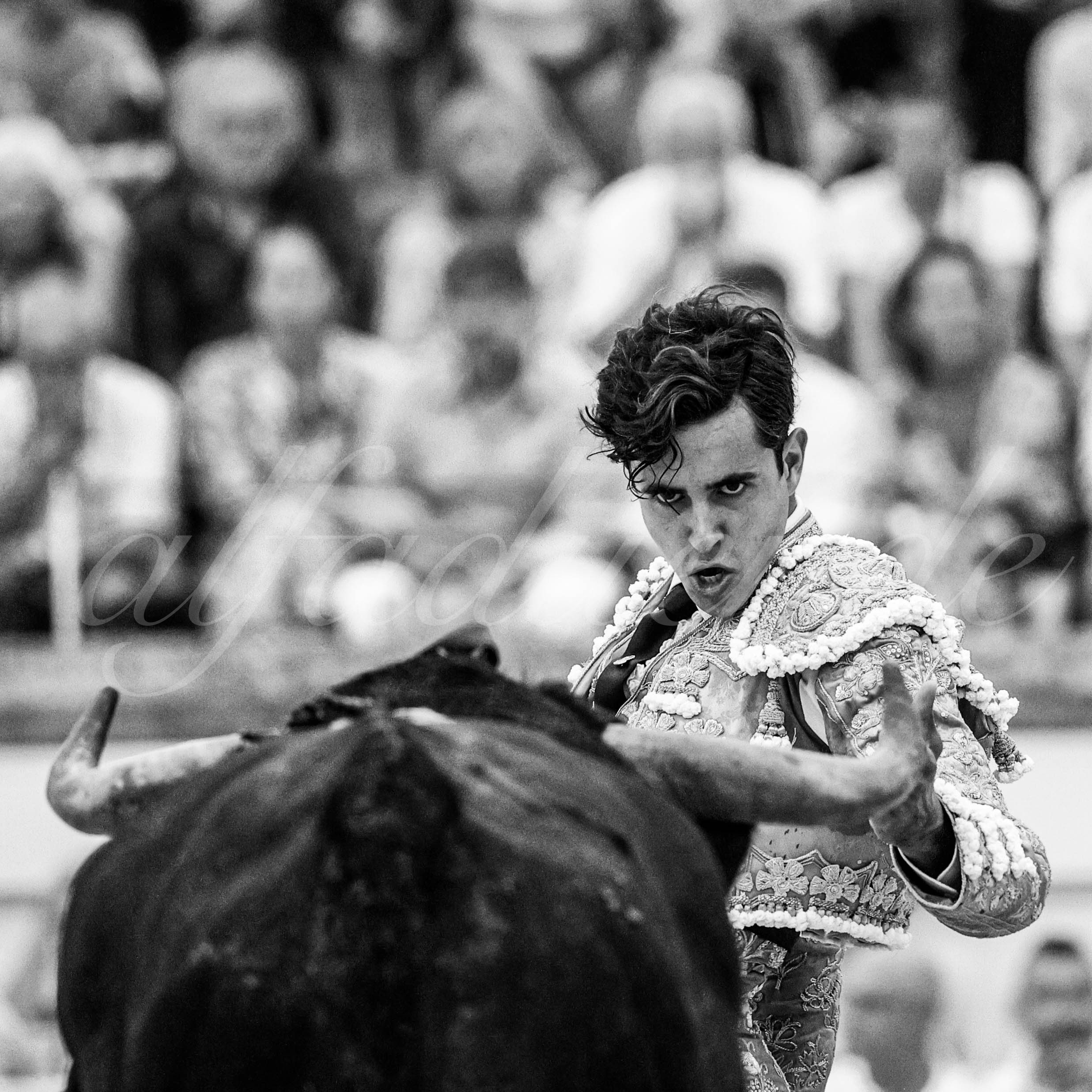 20220813 beziers 015