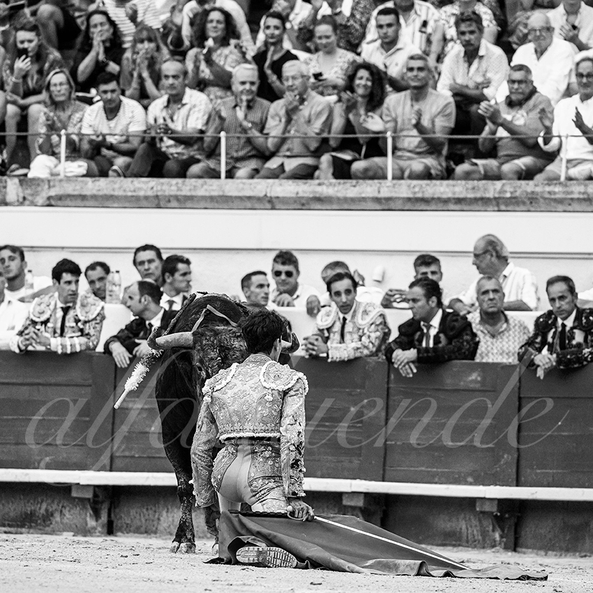 20220813 beziers 017