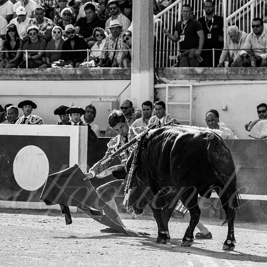 20220814 beziers 005