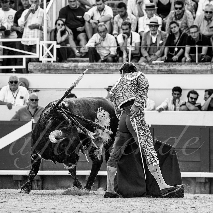 20220814 beziers 009