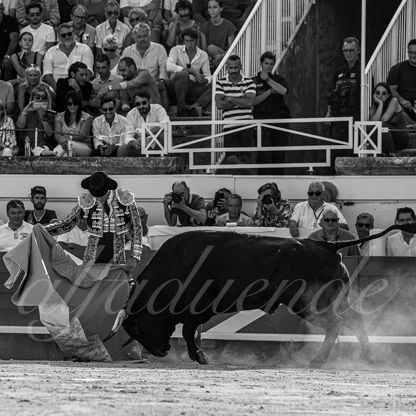 20220814 beziers 016