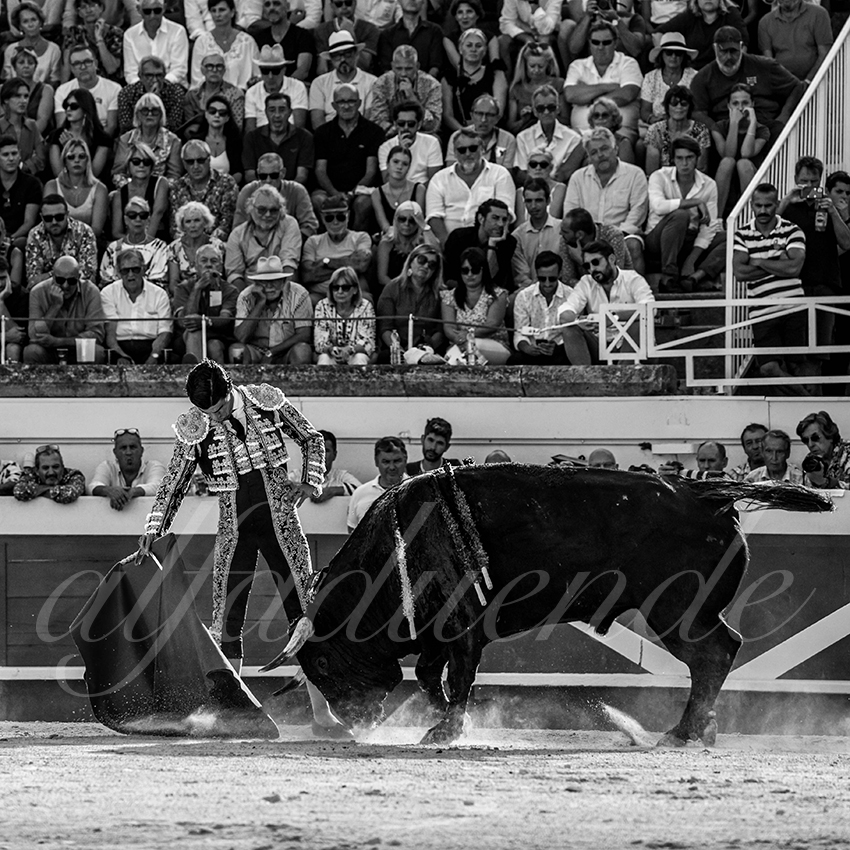 20220814 beziers 018