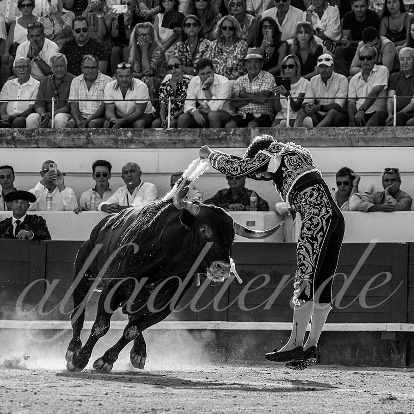 20220815 beziers 009