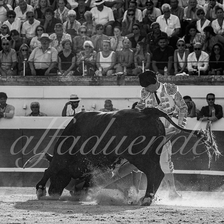 20220815 beziers 022