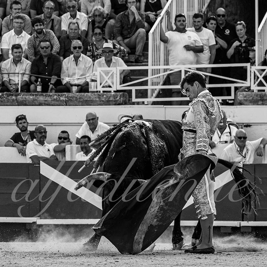 20220815 beziers 025