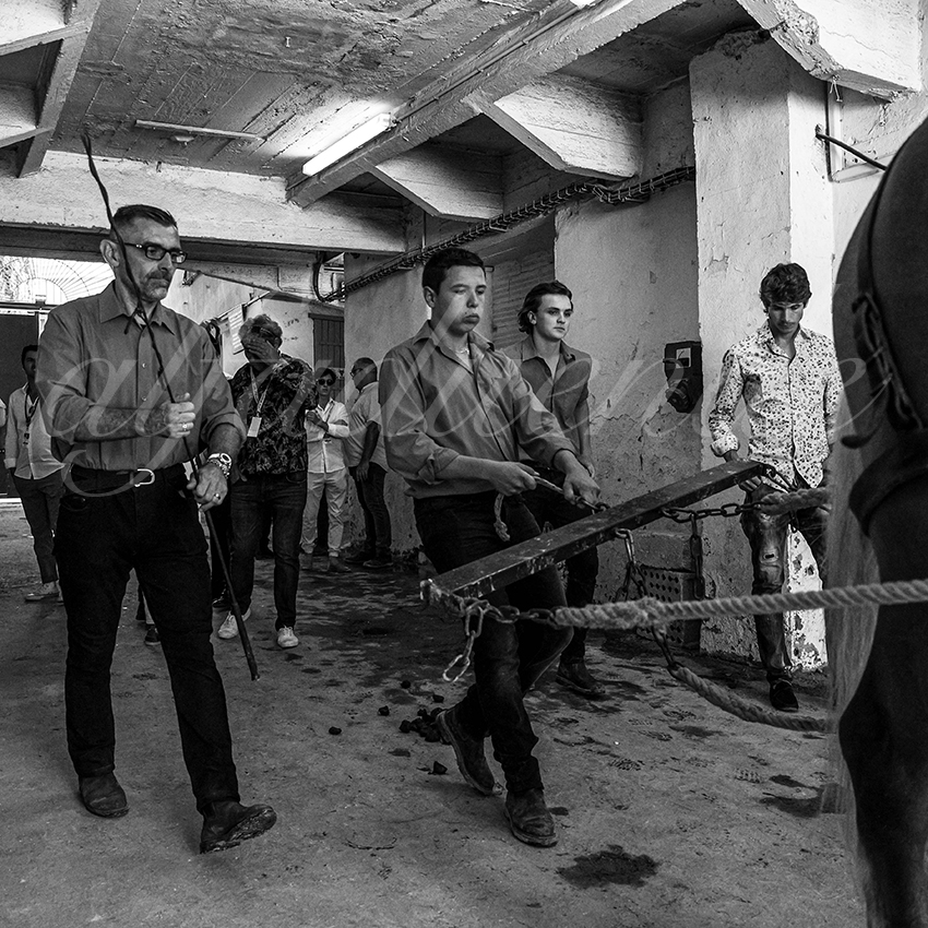 20230815 beziers 022