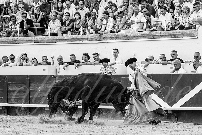 20230815 beziers 013