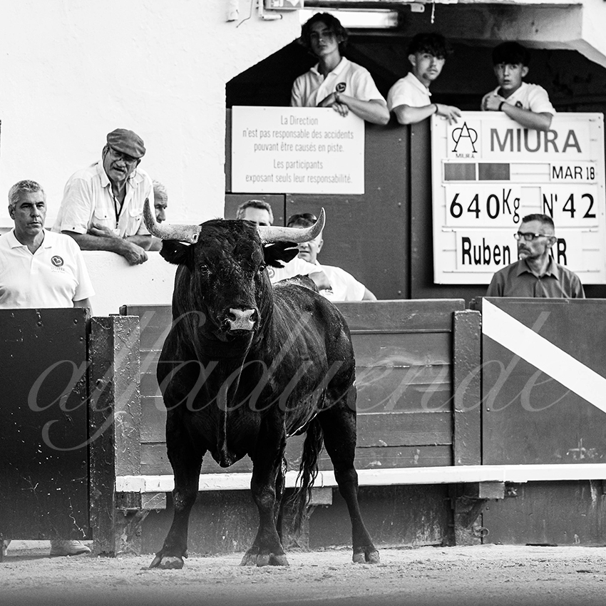 20230815 beziers 011