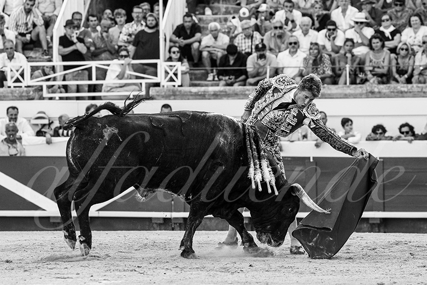 20230815 beziers 008