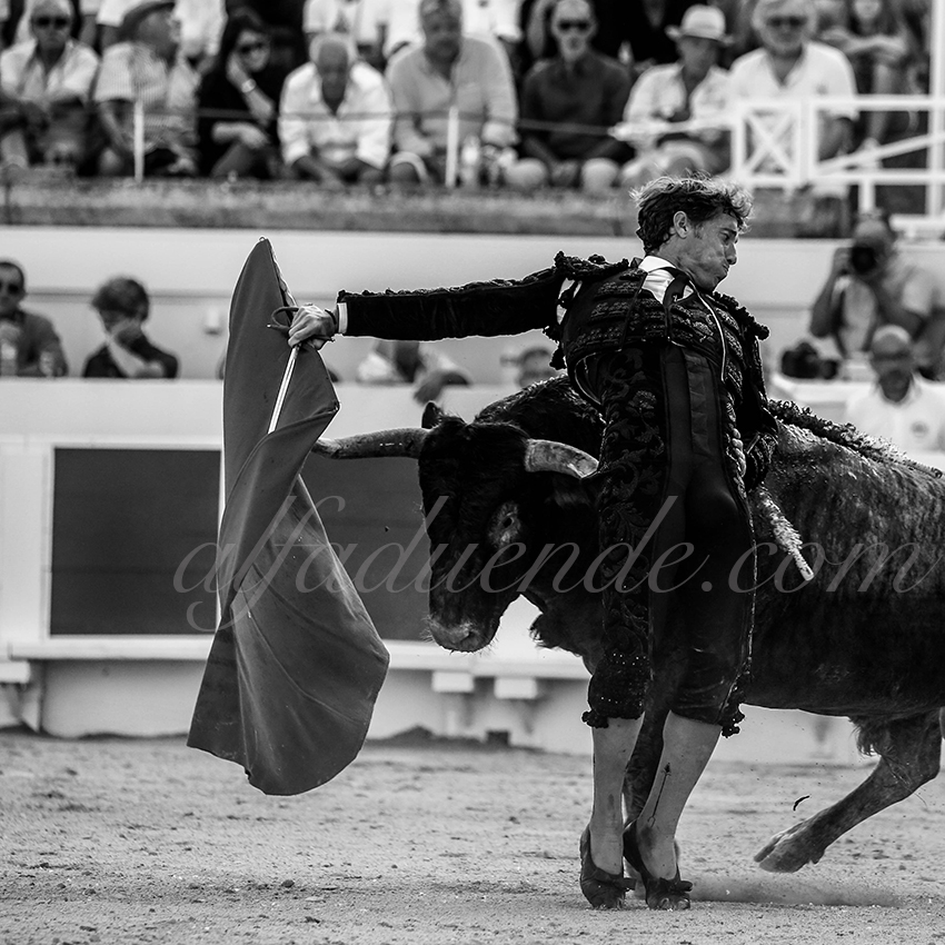 Alfaduende beziers 20190817 04 copie