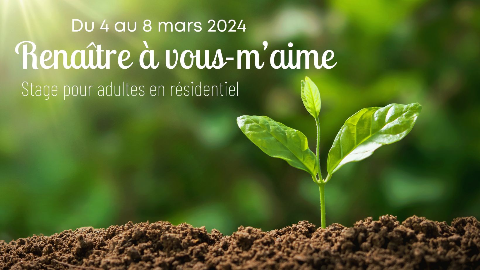 Renaitre-a-vous-m-aime