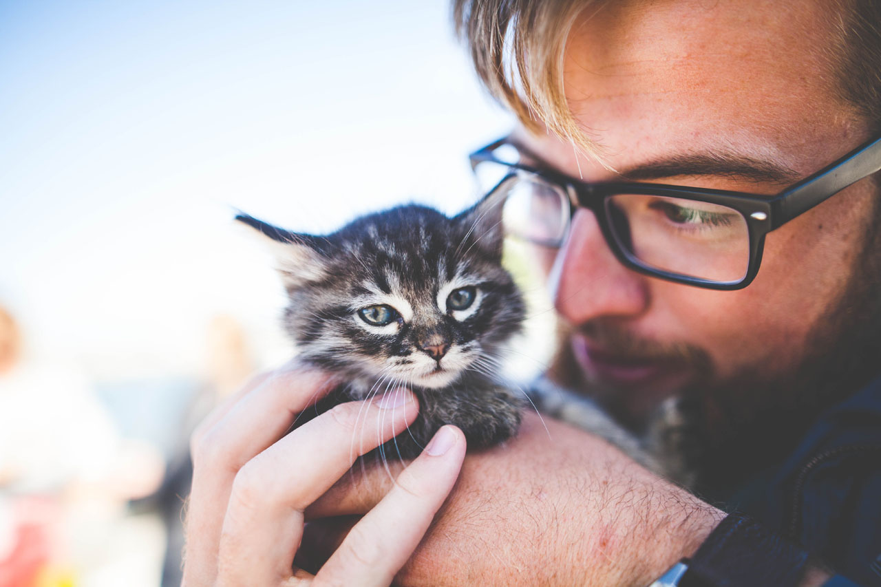 Fréjus : journée adoption et collecte le 21/09