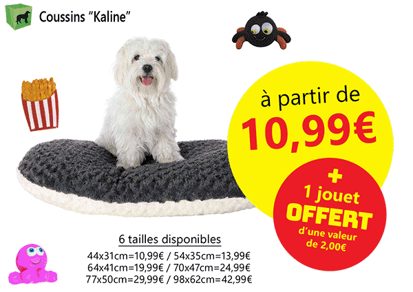 Nos offres de février