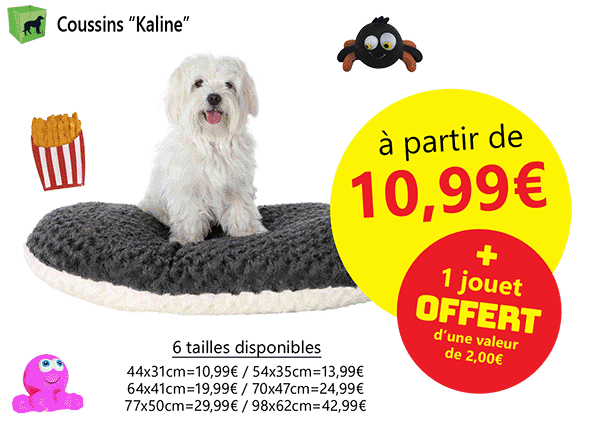 Nos offres de février