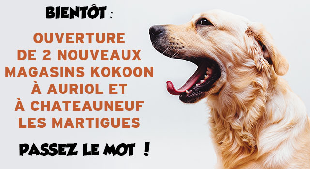 En février