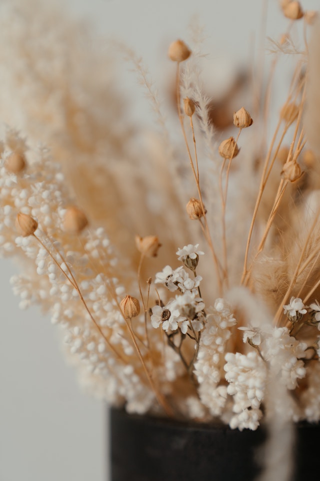 Pexels-cottonbro-4273432