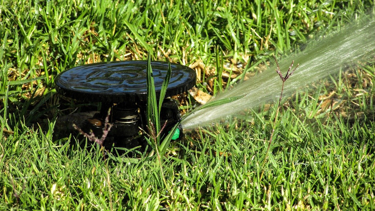 Comment réduire l'arrosage du jardin?