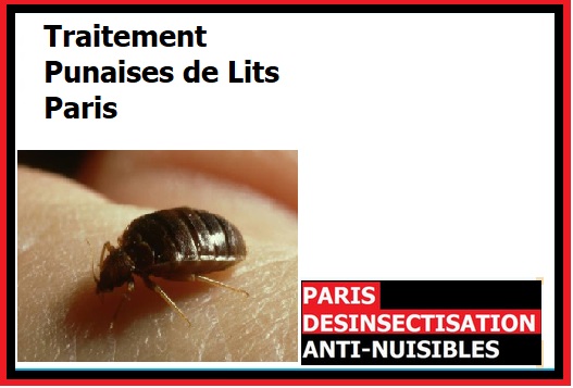 Traitement punaises de lit