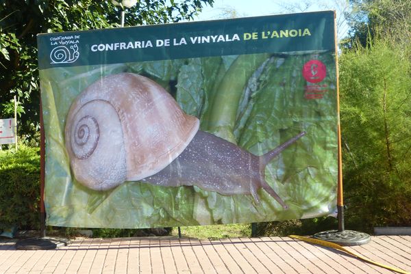 D' Odena à Ille sur Têt