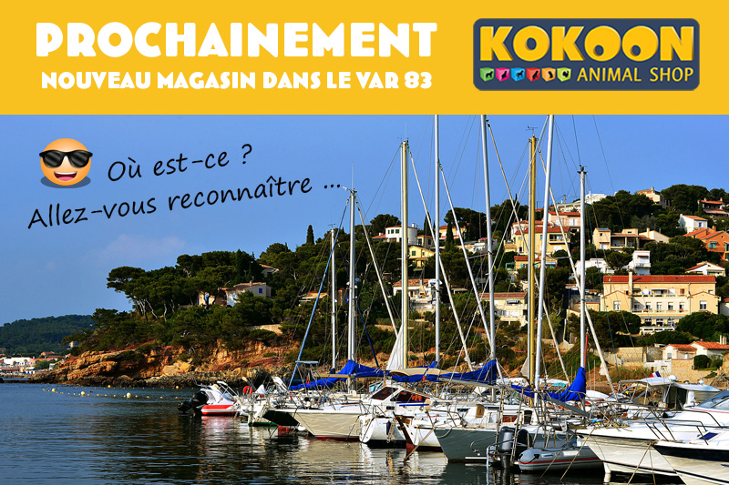 OUVERTURE BIENTOT