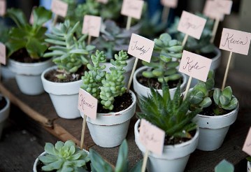 7 astuces pour un mariage écoresponsable