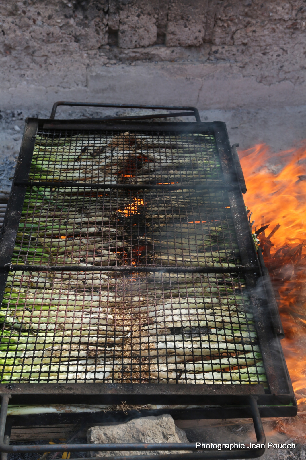 Calçotade et escargots