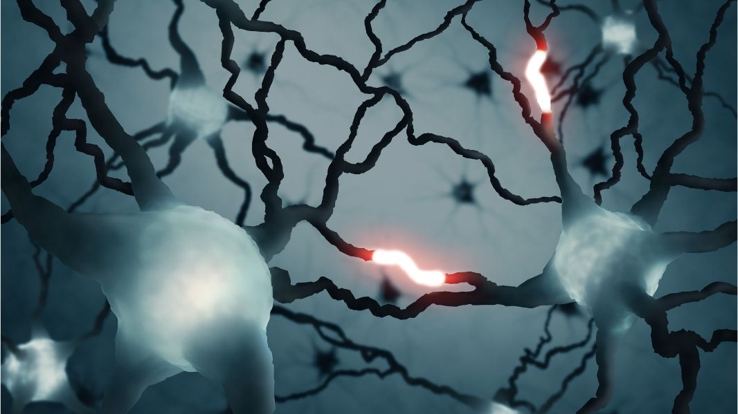 Les mystères du Cerveau d'un enfant avec un TDAH enfin dévoilés