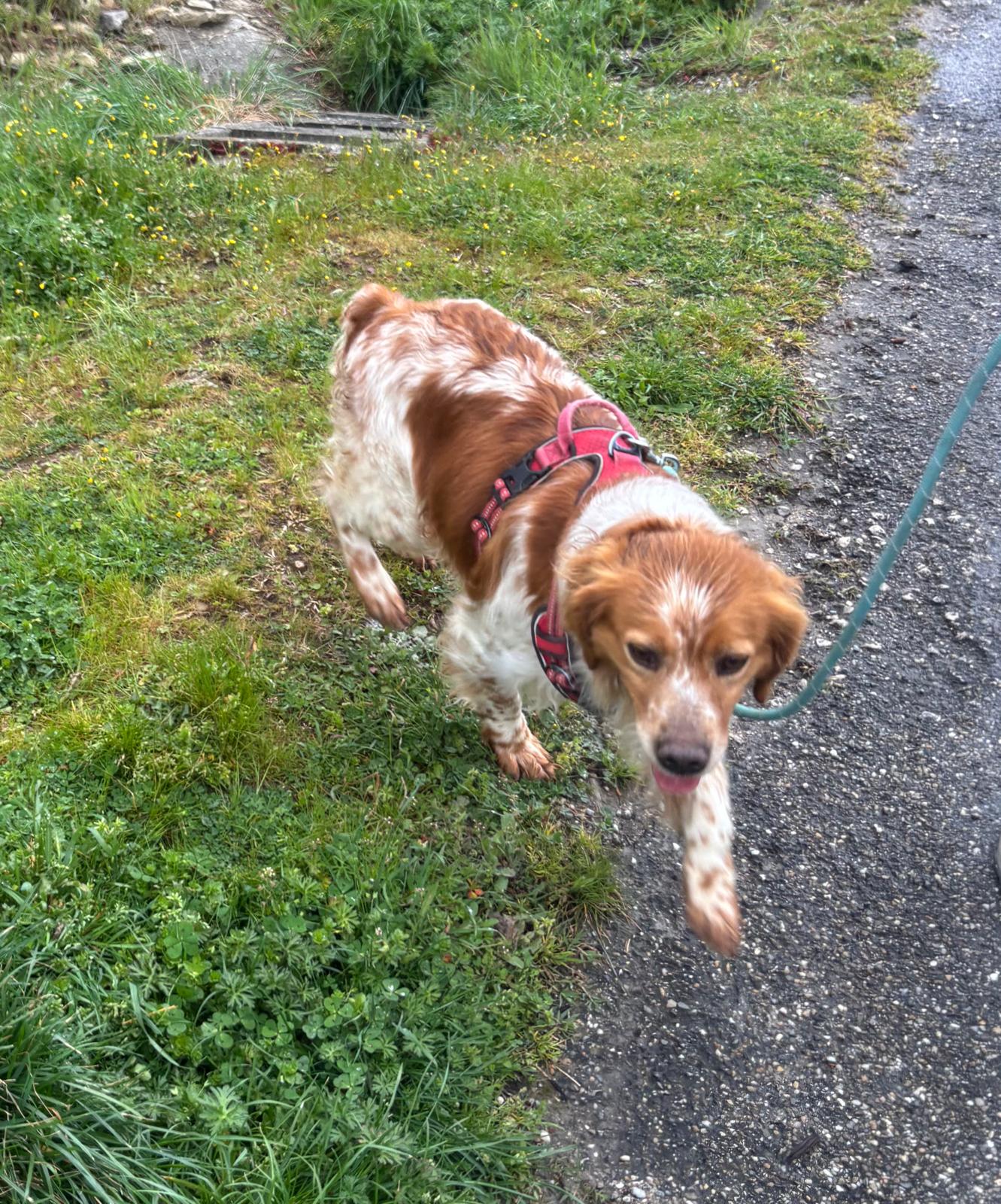 Whatsapp image 2025 04 02 at 18 58 05