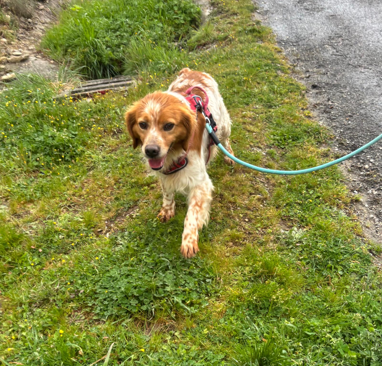 Whatsapp image 2025 04 02 at 18 57 41