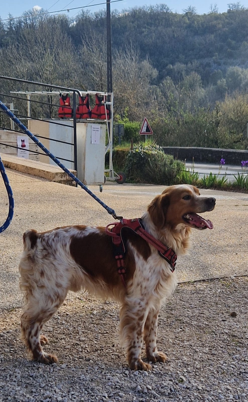 Whatsapp image 2025 04 06 at 14 28 09