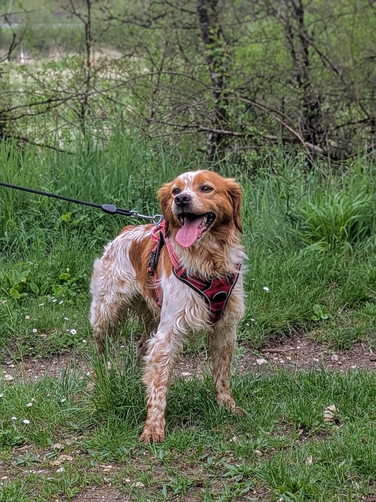 Whatsapp image 2025 04 20 at 17 37 11 1 