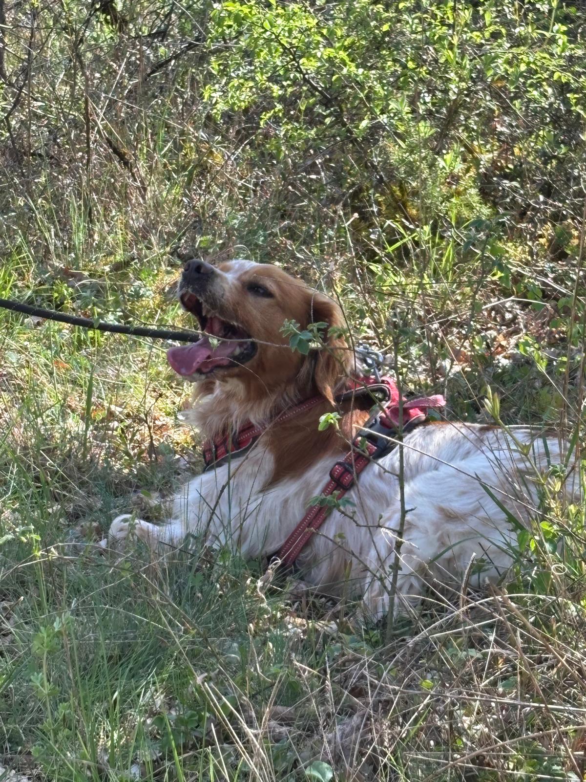 Whatsapp image 2025 04 05 at 19 20 47