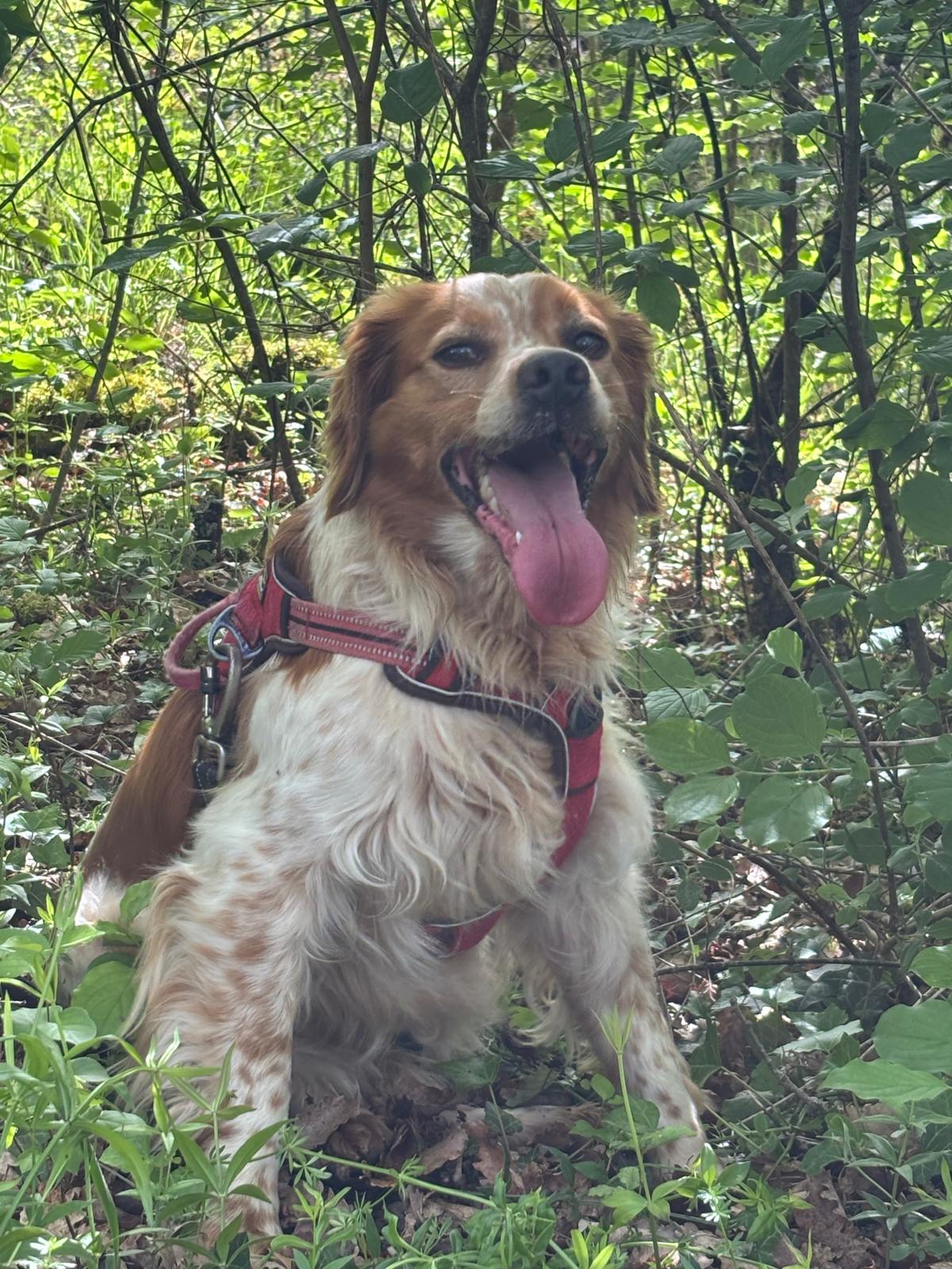 Whatsapp image 2025 05 04 at 18 43 50