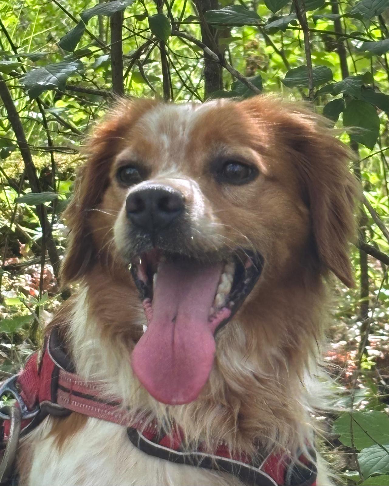 Whatsapp image 2025 05 04 at 18 43 50 1 