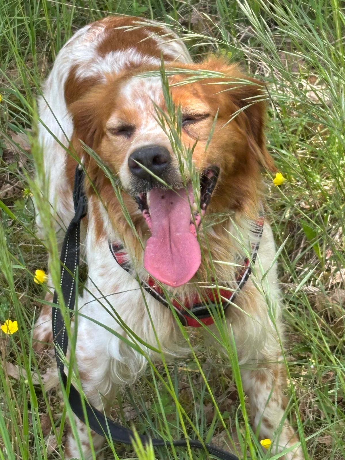 Whatsapp image 2025 05 04 at 18 43 49