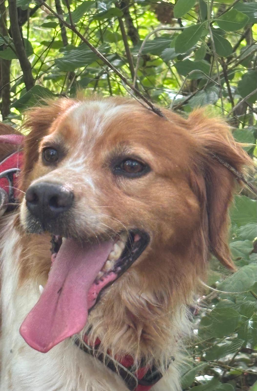 Whatsapp image 2025 05 04 at 18 43 49 1 